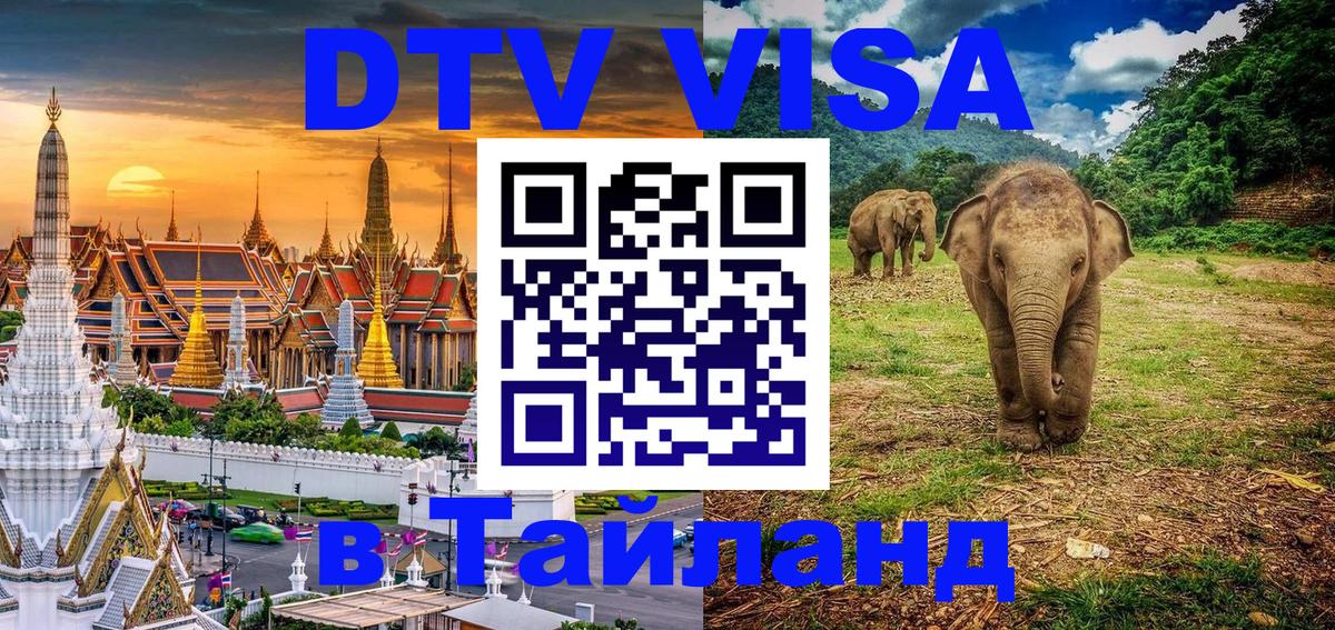 Сколько стоит DTV виза — актуальные цены, оформление даже без документов - Дзержинск 